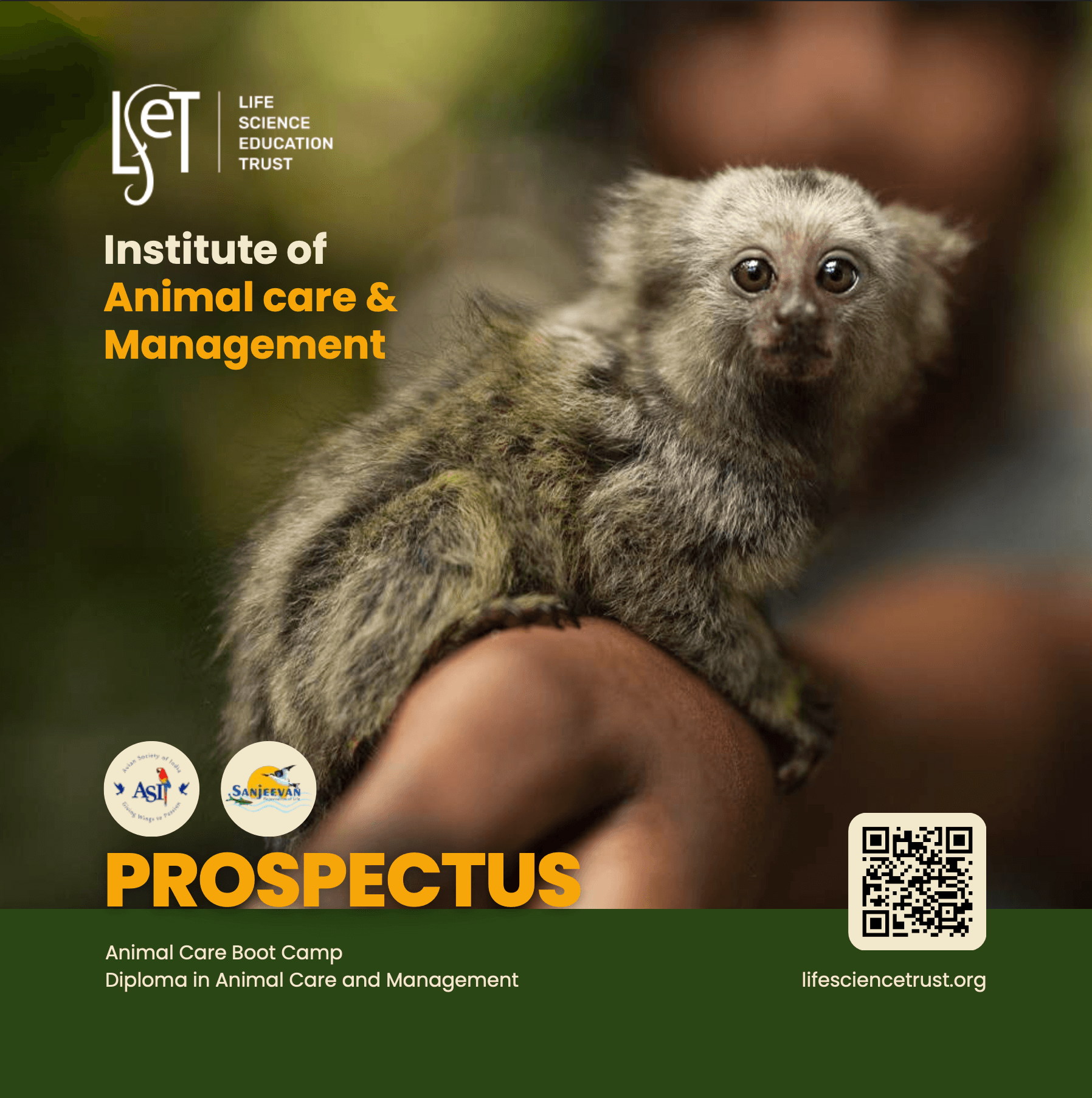 LSeT 2025 Prospectus cover