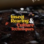 Insect Rearing and Culture Techniques