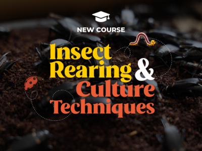 Insect Rearing and Culture Techniques