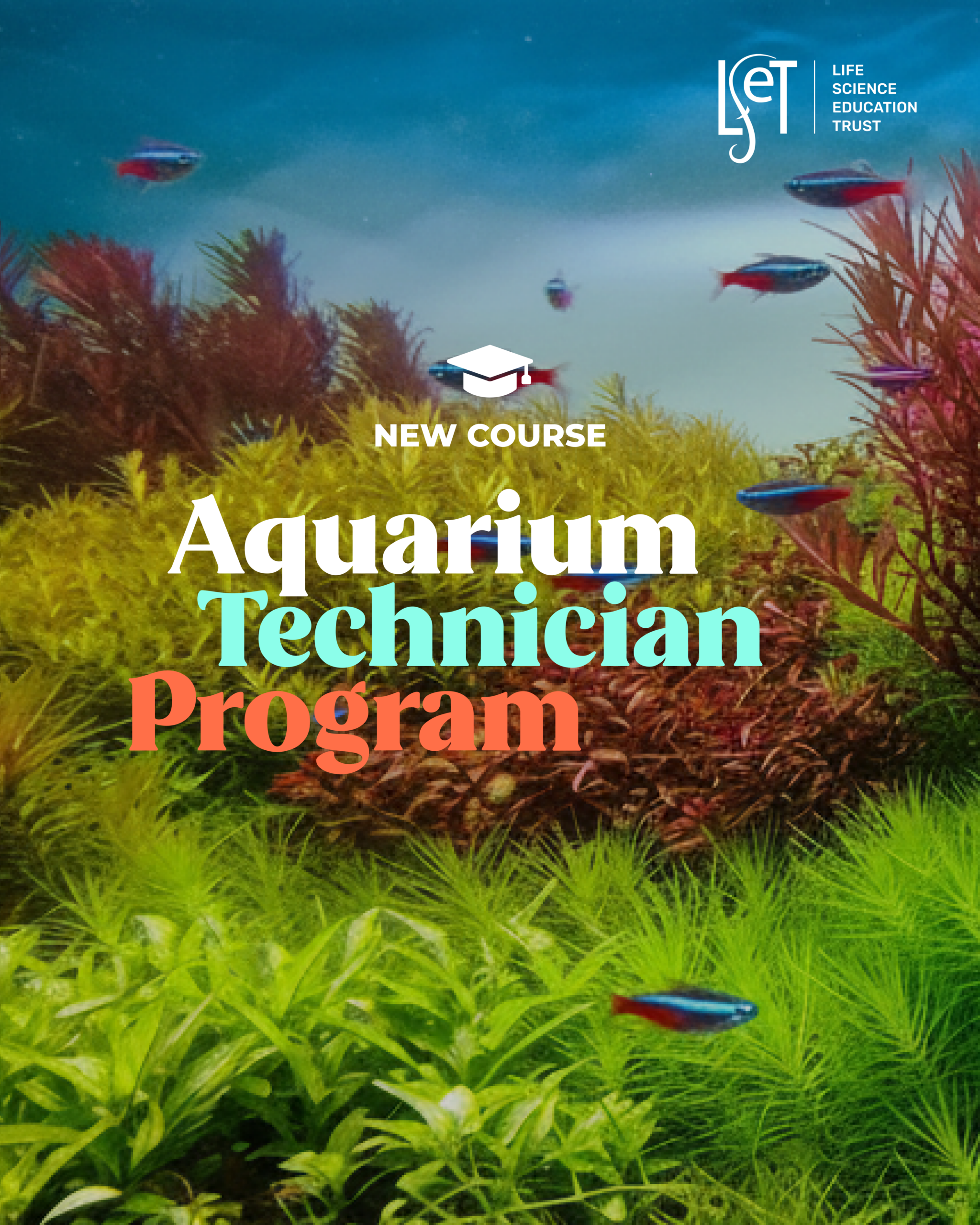 Lset_Carousel_001_Aquarium_20251231 (1)